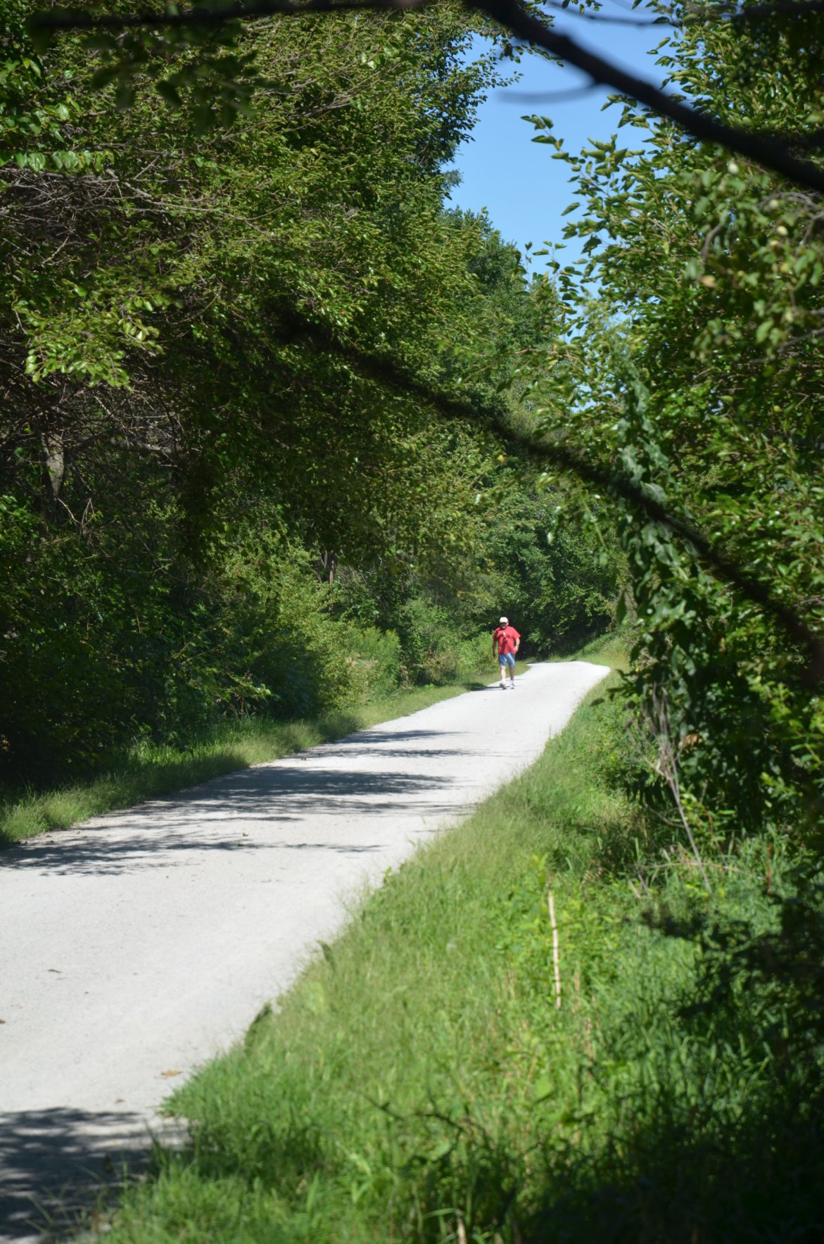 Trails